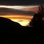 Daniel Petrone - @daniel.petrone.31 - Instagram