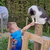 Daniel Piatek - @daniel.piatek1 - TikTok