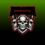Danielpicken - @pickeldangaming - Instagram