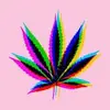 Daniel Pickett - @daniel.pickett2 - TikTok
