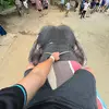 Daniel - @daniel.pickford1 - TikTok