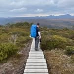 Daniel - @daniel_pickles - Instagram