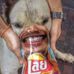 Daniel Pickle - Facebook