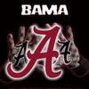Daniel Pickle - @rolltide9797 - TikTok
