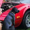 Daniel Pickles - @daniel.pickles - TikTok