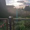 Daniel Piechocki - @daniel.piechocki8 - TikTok