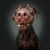 Daniel Piekarz - Facebook