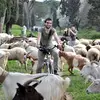 Daniel Pieper - @fahrradstadthamburg - TikTok