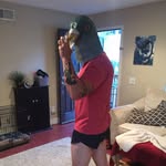 Daniel Pigeon - @mynameispigeon - Instagram