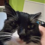 Daniel Piggott - @piggott.daniel - Instagram