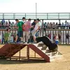 Daniel Pijuan Muñoz - @danipiju - TikTok