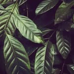 Daniel Pilcher - @pilcher7554 - Instagram