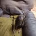 Daniel Pilcher - Facebook