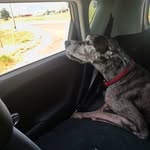 xbrider - @danielpilcher - Instagram