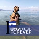 Daniel Pinchas - @daniel.pinchas.9 - Instagram
