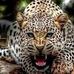 Danny Pinckney - Facebook