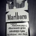 Daniel Pincu - @danielpincu - Instagram