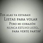 Daniel Piñeiro - @pineiro.daniel - Instagram