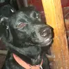 daniel - @daniel_pinero9 - TikTok