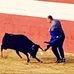 Daniel Piñero Lara - Facebook