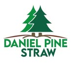 Daniel Pine Straw - @daniel.pinestraw - Instagram
