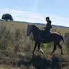 daniel_piñeyro🤪🤪 - @www.daniel18.com - TikTok