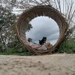 Daniel Pino - @danielpinofl - Instagram