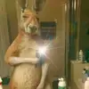 Daniel Pino - @danielpino_ - TikTok