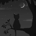 Daniel Pinon - Facebook