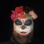 Daniel Piotrowski - @daniel.piotrowski.948 - Instagram