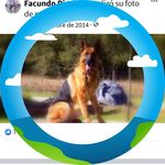 Daniel Pirolo - @pirolodaniel - Instagram
