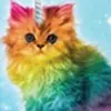 Daniel Pittenger395 - @user5338645481808 - TikTok