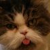 Daniel Plotkin - Facebook