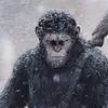 Dan - @daniel.po27 - TikTok