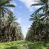 Daniel Pocock - @danielpocock0 - TikTok