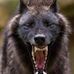 Daniel Pogosyan - Facebook