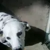 danielpogue9 - @danielpogue9 - TikTok