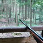 Daniel Pohlmann - @pohlmann.daniel - Instagram