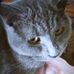 Daniel Poitras - Facebook