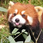 Daniel Pojeta - @danielpojeta - Instagram