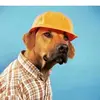 daniel pol - @danielpol51383 - TikTok