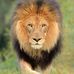 Daniel Polansky - Facebook