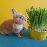 Daniel Polášek - @daniel.polasek.988 - Instagram