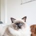 Daniel Polcyn - Facebook