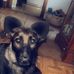 Danielle Haljendi Polhamus - Facebook