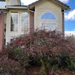 Daniel Polimeni - @homerenewalsoftwash - Instagram