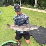 Daniel Polito - @daniel_politoo - Instagram