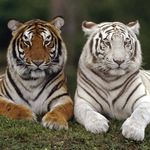 Daniel Polkowski - @daniel.polkowski.5268 - Instagram