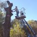 Daniel Polley - Facebook