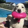 DaniellePollock - @danipollock - TikTok